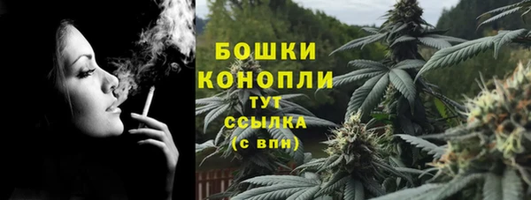 амф Козловка
