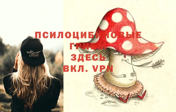 ешки Кодинск