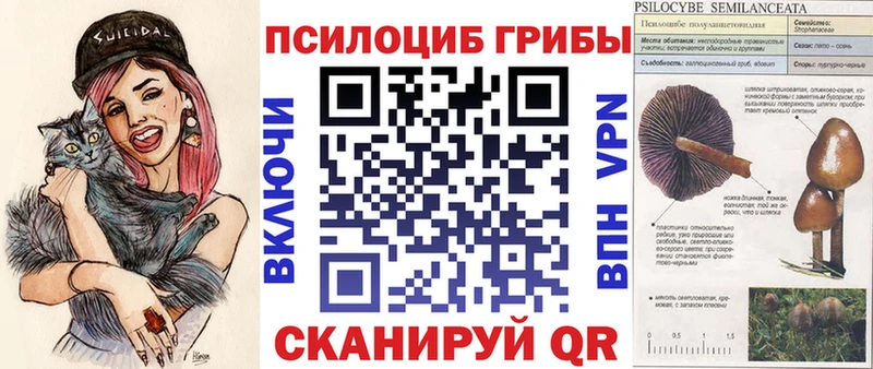 Псилоцибиновые грибы Psilocybine cubensis  Купить закладки  Вуктыл 